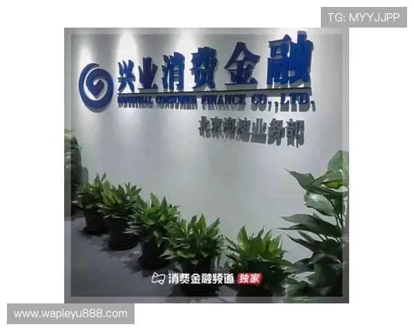 乐鱼体育备用平台支持多种支付方式满足不同用户需求