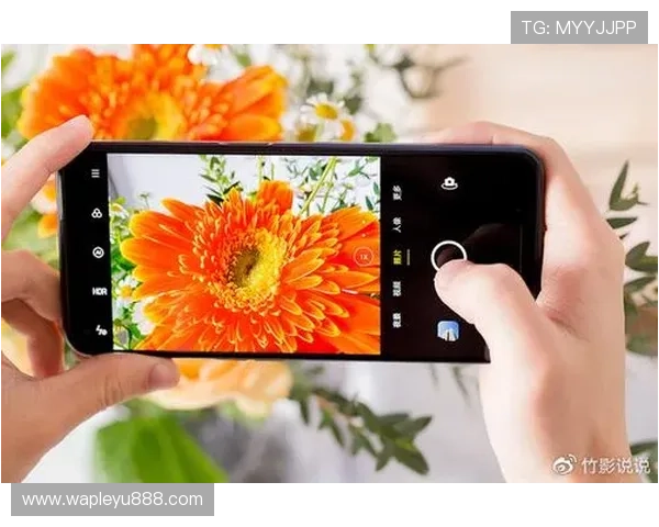 乐投网站用户体验评测优化建议打造更流畅的娱乐体验