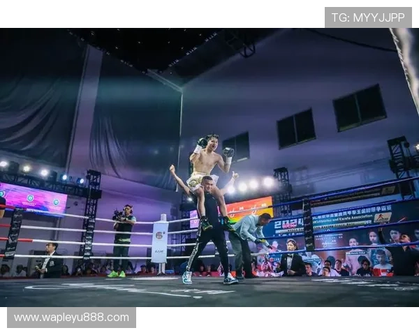 乐投控股有限公司：行业内的竞争优势与市场份额提升策略