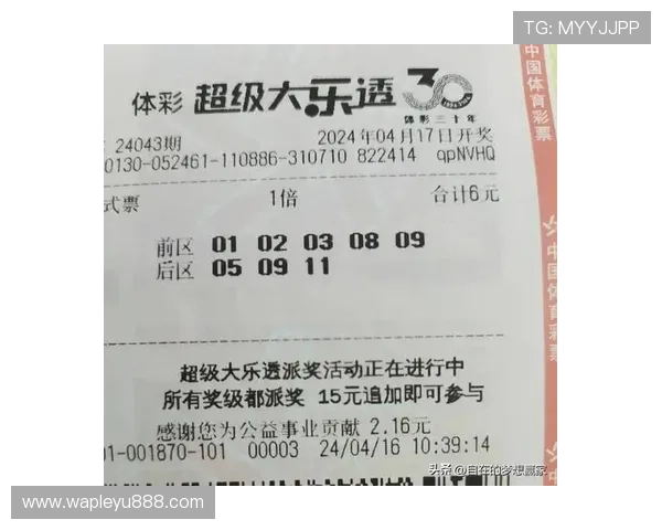 乐鱼体育平台开户后如何高效进行投注与资金调配