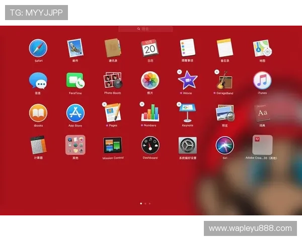 乐鱼官方首页用户指南与常见问题解答，帮助新手快速上手平台操作