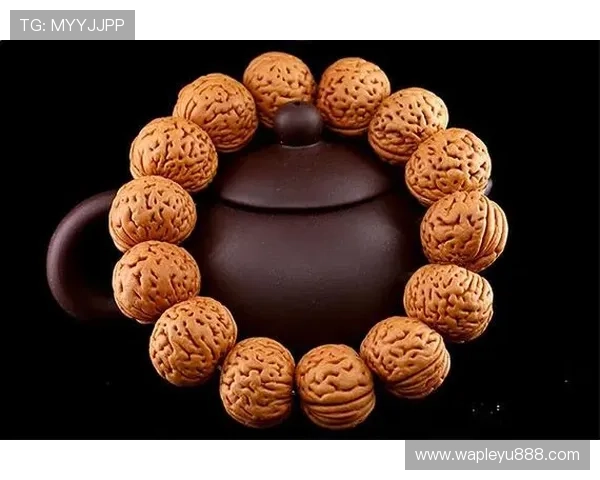 乐鱼官网官方地址常见问题汇总及最新官方入口介绍