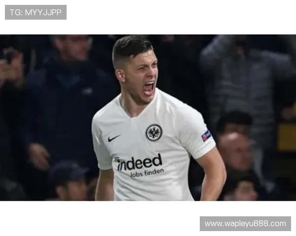 乐鱼平台合作伙伴大巴黎01共同打造高品质体育赛事生态系统