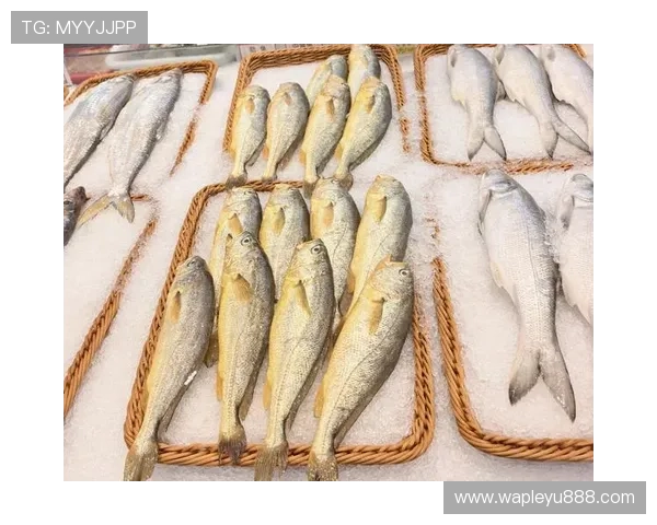 乐鱼旗舰店——快速配送服务，确保鲜美海鲜及时到家