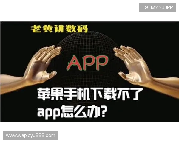 乐鱼app官方入口官方入口登录流程详解，帮助用户轻松解决登录难题