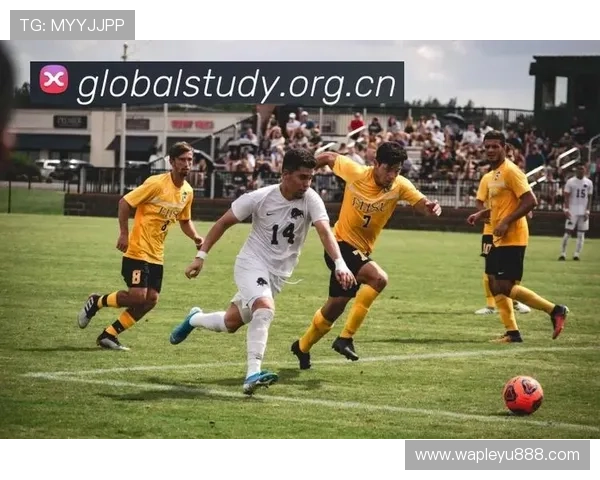 乐鱼体育官网真人游戏的优势与特色，打造最真实最刺激的线上娱乐体验