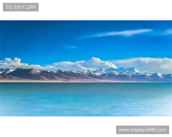 乐鱼在线下载app超快版本推荐，最新版本带来更佳游戏体验