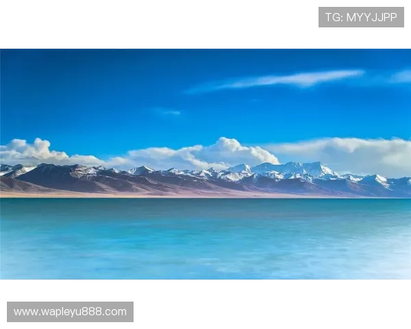 乐鱼在线最新官网下载不断优化升级,带来更丰富的游戏内容和更优质的用户体验 乐鱼在线最新官网下载不断优化升级,带来更丰富的游戏内容和更优质的用户体验