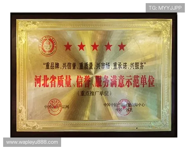 乐鱼官方信誉好，结合行业标准分析其在信誉建设方面的优势与不足