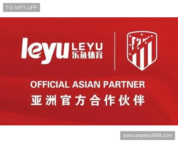 乐鱼综合体育官网app安全保障措施，确保玩家个人信息与资金安全无忧的最佳选择