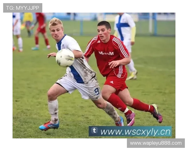 乐鱼网页版登录入口旧版升级教程及常见问题解决方案详解