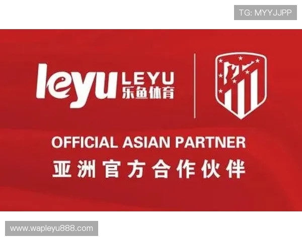 乐鱼app下载链接安卓官方渠道，确保安全稳定的娱乐体验随时随地畅享